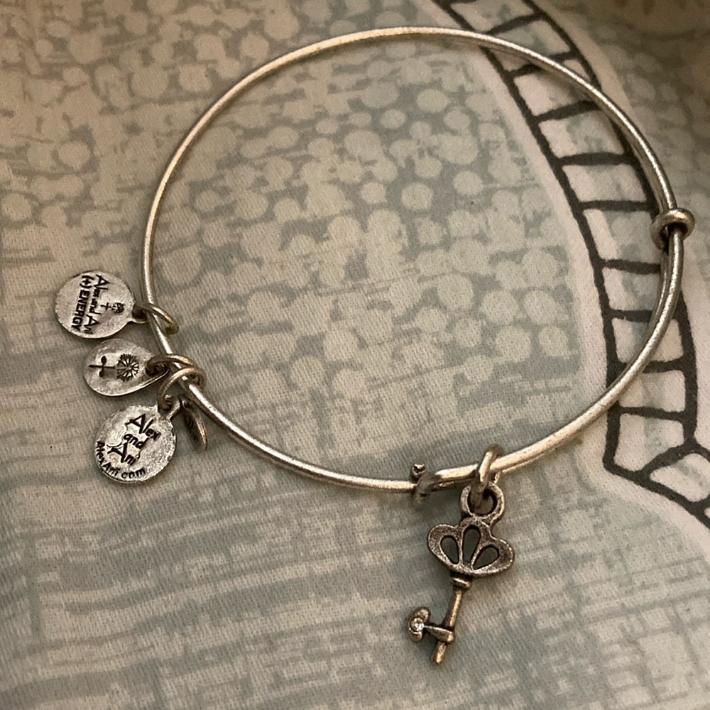 Alex and Ani Energy Skeleton Key Stretch Bangle Bracelet